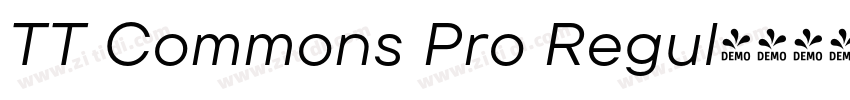 TT Commons Pro Regul字体转换 TT Commons Pro Regul字体转换